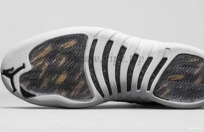 Air Retro Wings Jordan 12 Authentic 0519